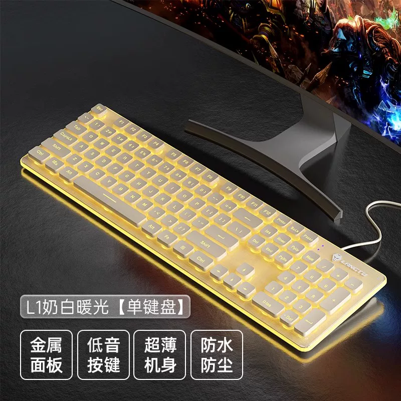 Wolf Road wired silent keyboard with high aesthetics, mechanical feel, backlit tablet, laptop, typing, female office