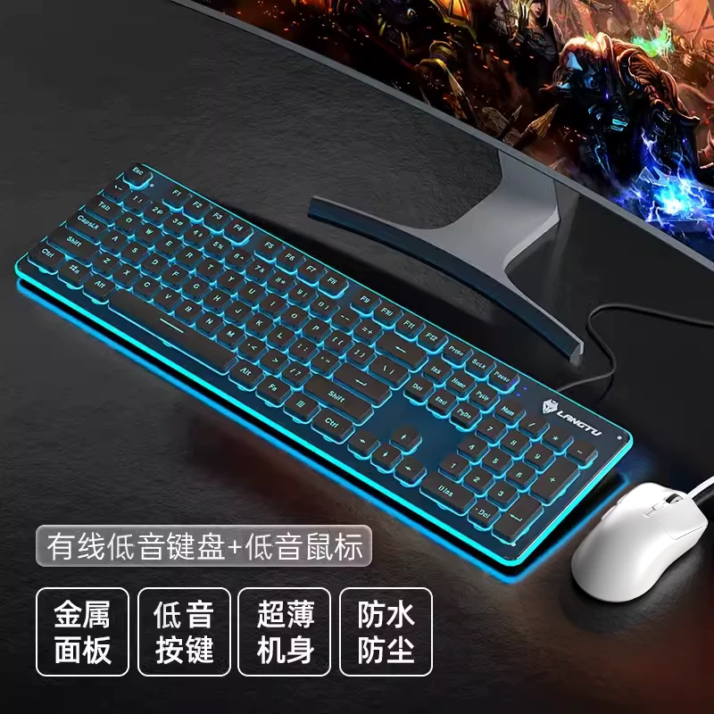 Wolf Road wired silent keyboard with high aesthetics, mechanical feel, backlit tablet, laptop, typing, female office