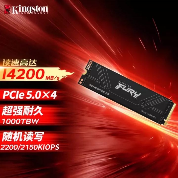 Официальный флагманский магазин Kingston SSD твердотельный накопитель Rebel Интерфейс M.2 (NVMe PCIe 5.0×4)