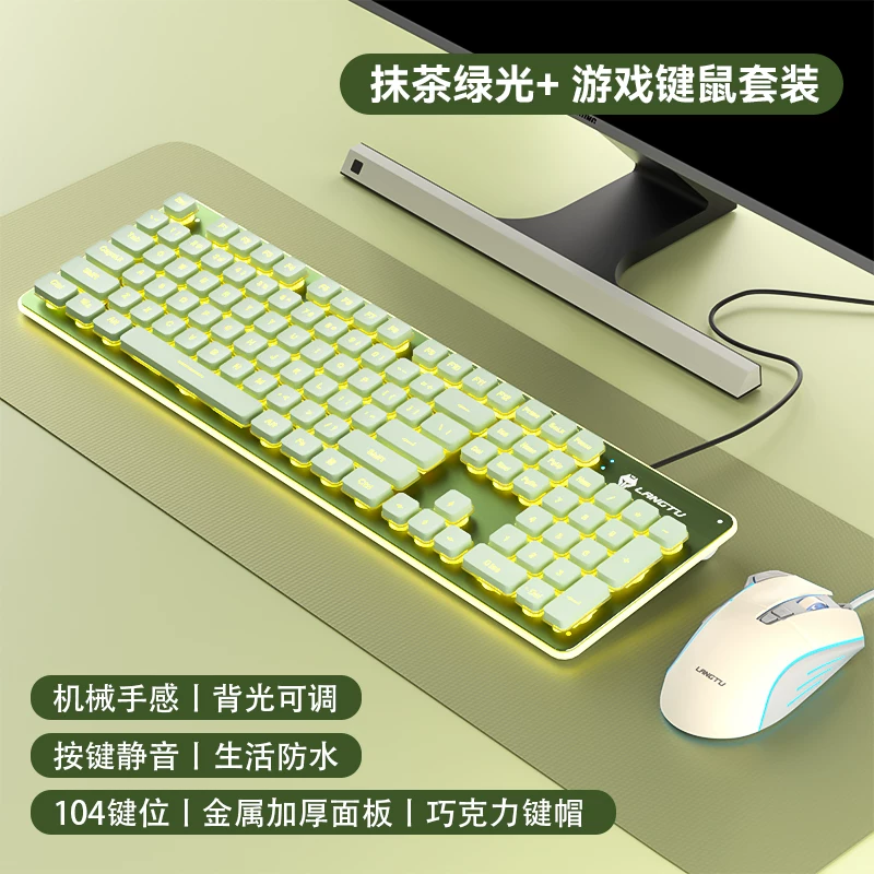 Wolf Road wired silent keyboard with high aesthetics, mechanical feel, backlit tablet, laptop, typing, female office