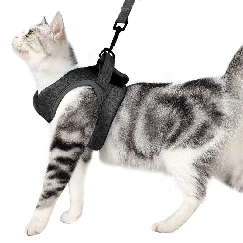 Кошка жгут Cat Special Traction Tope для анти-разрывного воздухопроницаемого пояса Amazon Pet Guilding Cat Leash