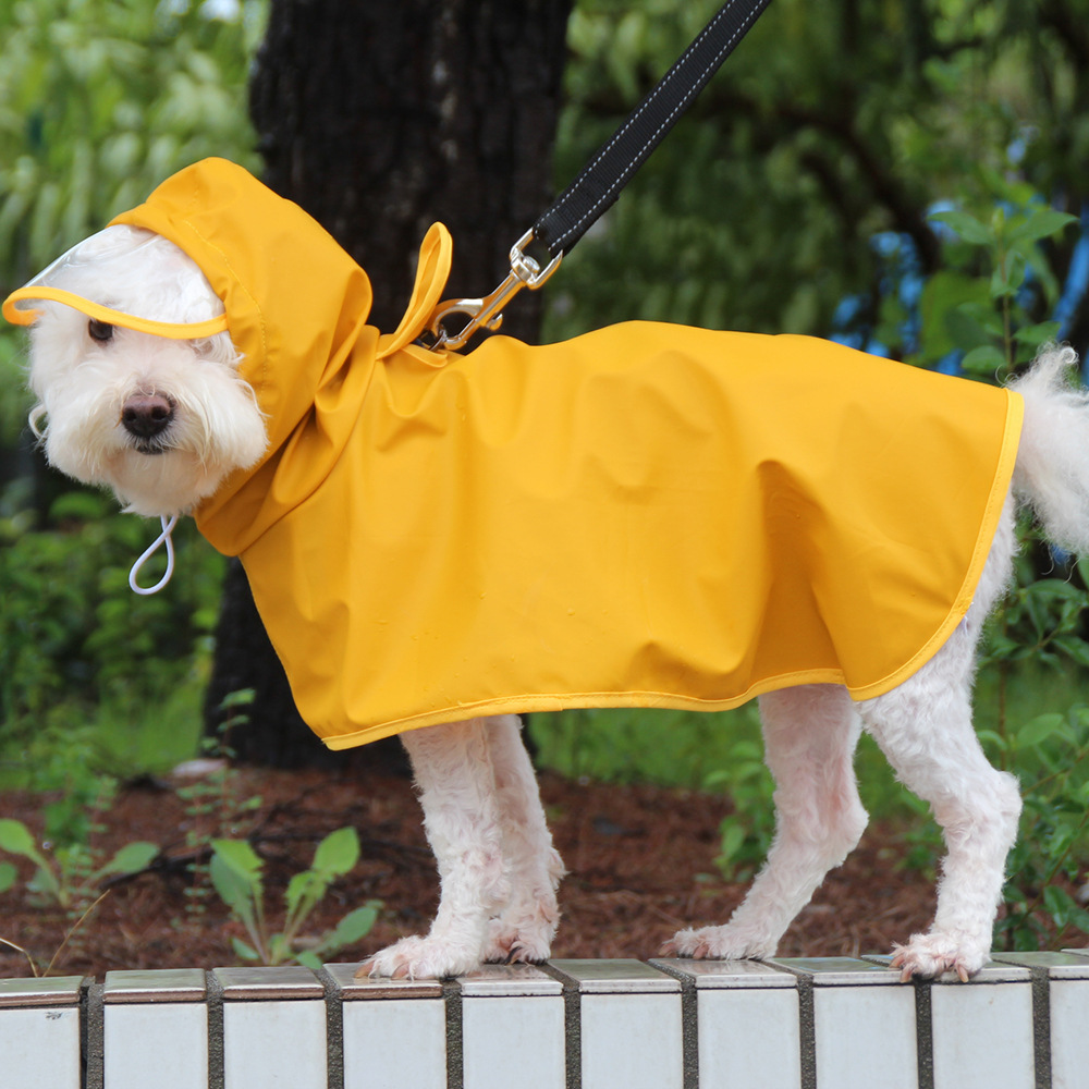 Печать It Casual Dog Rainscoat Scloak Bag Belly Corgi Teddy Golden Retriever Pet Raint Paint Легко носить одежду для собак Амазонки
