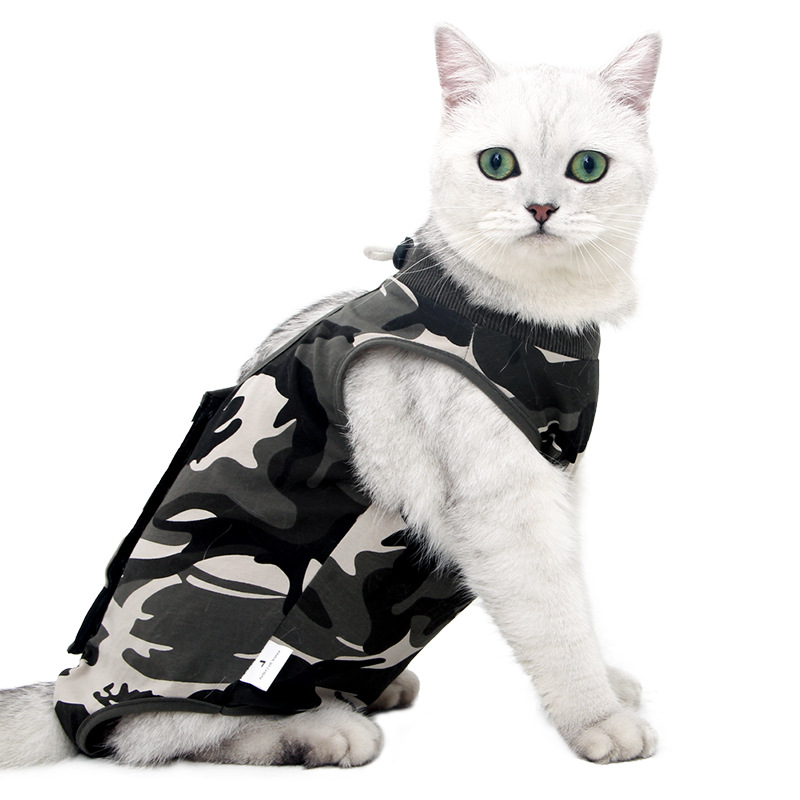 Amazon Pet предоставляет кошки кошки после операции, выводя одежду отлучения от груди, противоречивая камуфляжное обслуживание Home Service