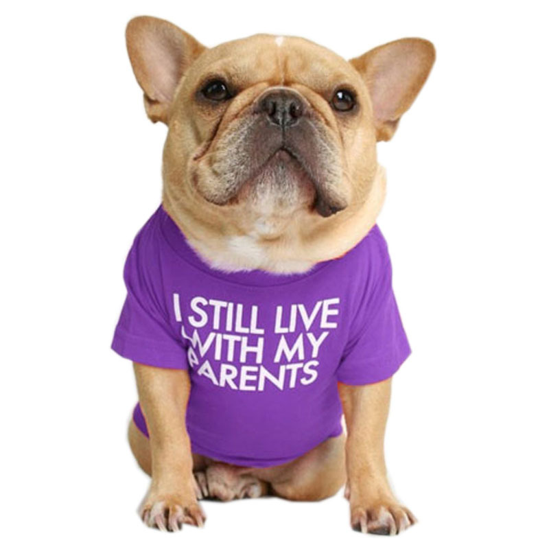 Fasun Douya Bargo Salith Bulling Dog Pets T -Frish T -Frish Teddy Panda Dog Clothing