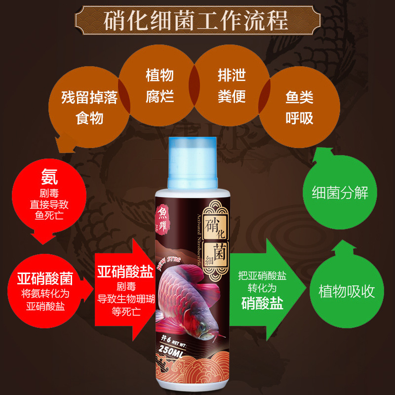 艾诺芬 Koi Parrot Нитрификация рыбы резервуар Стабилизатор воды Стабилизатор прозрачная рыба Повышение агента по уходу