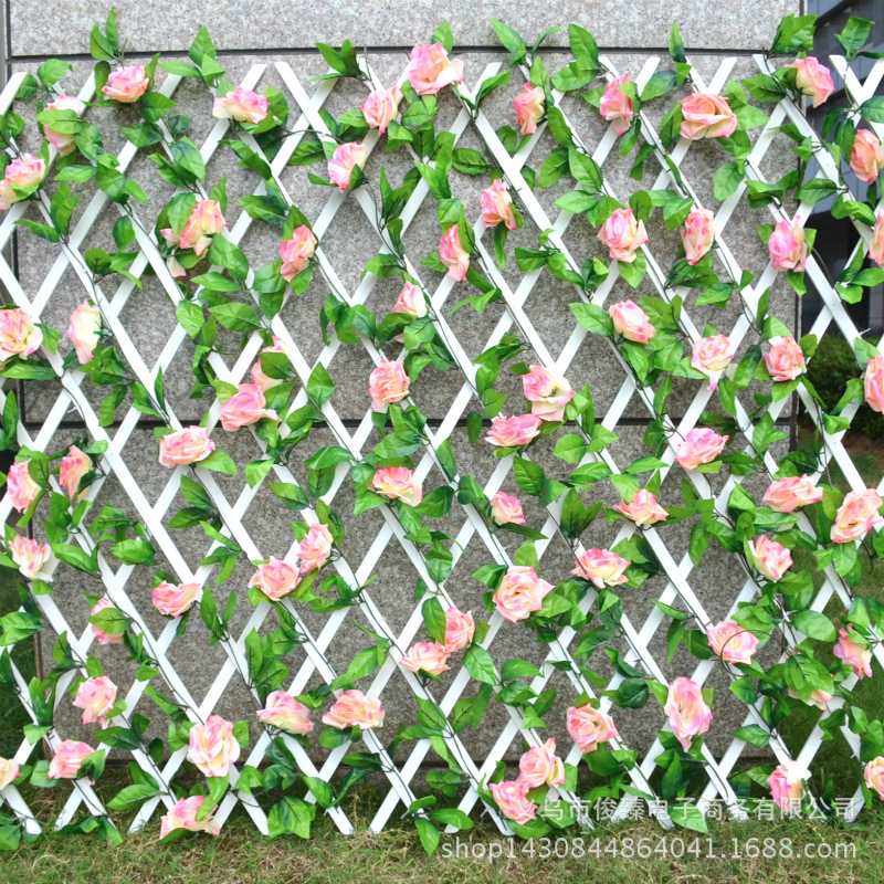 DSC_0090_meitu_5
