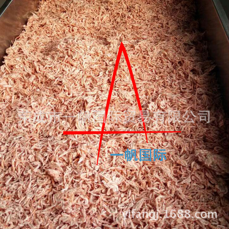 南极磷虾10