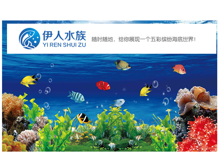 详情_04