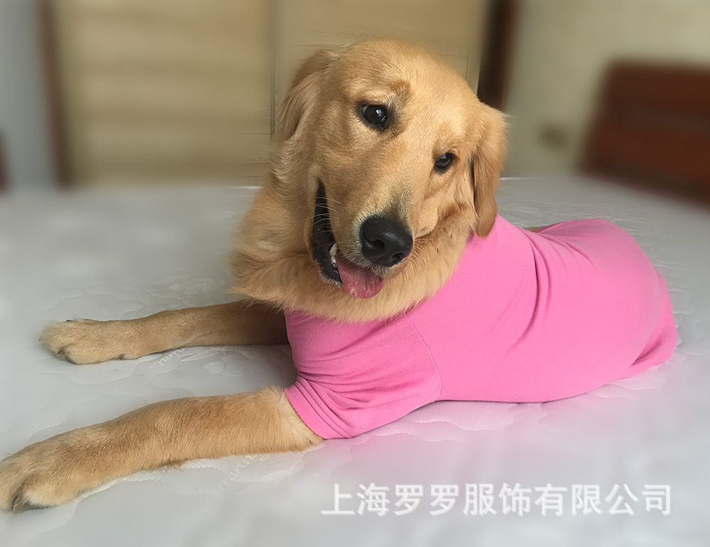 微信图片_20181205154856.jpg