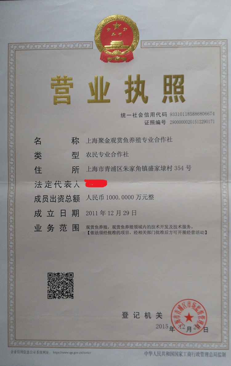 执照