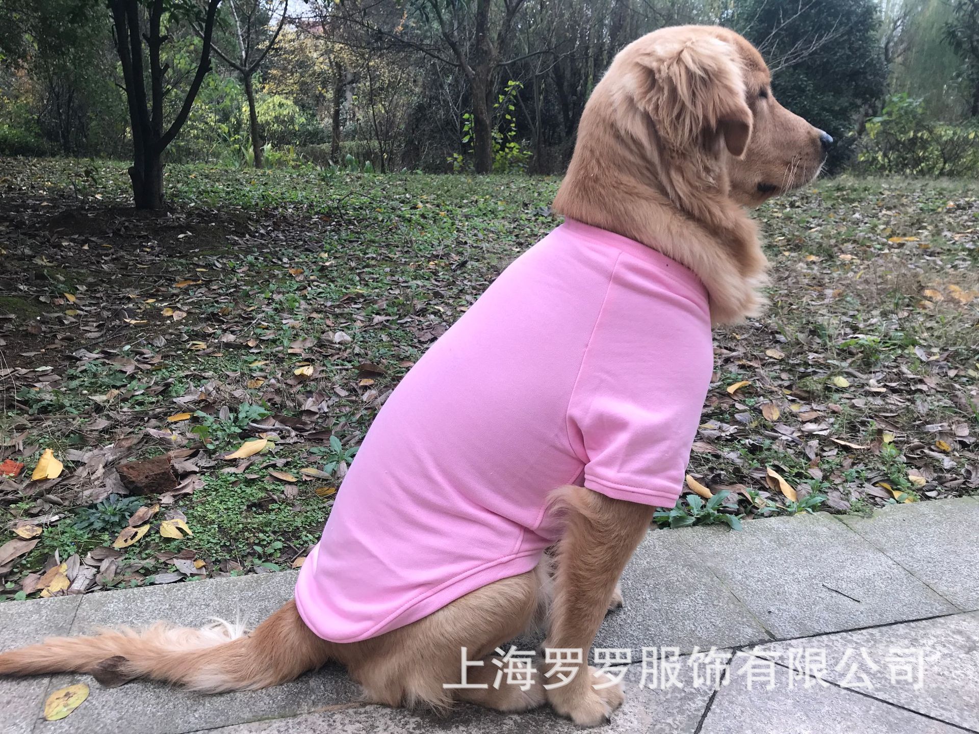 微信图片_20181205154928.jpg