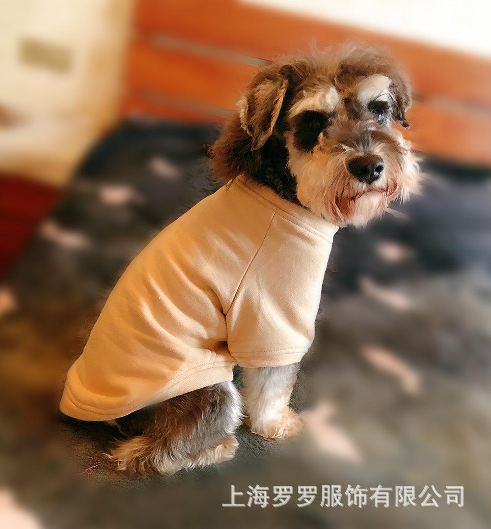 微信图片_20181203194530.jpg