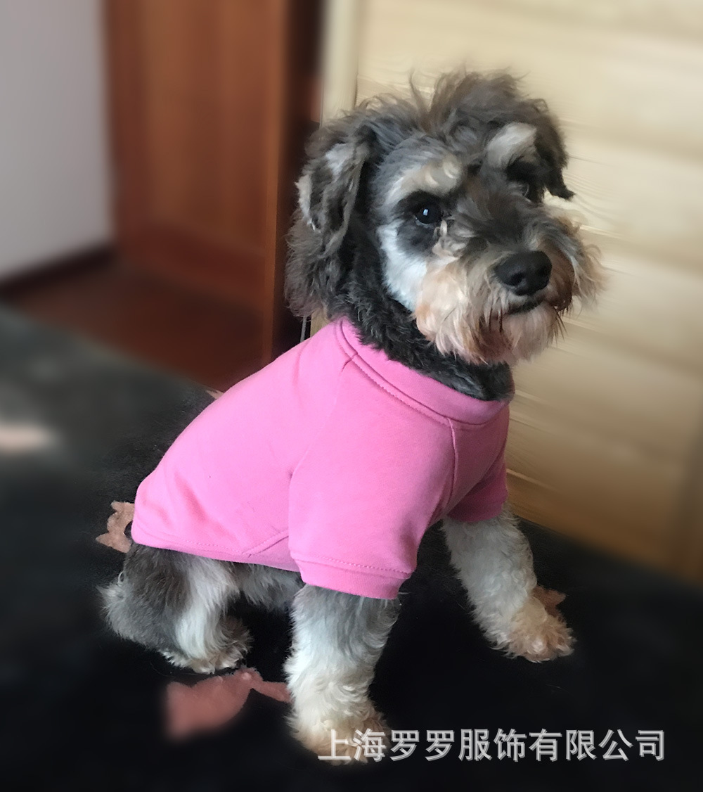 微信图片_20181203193502.jpg
