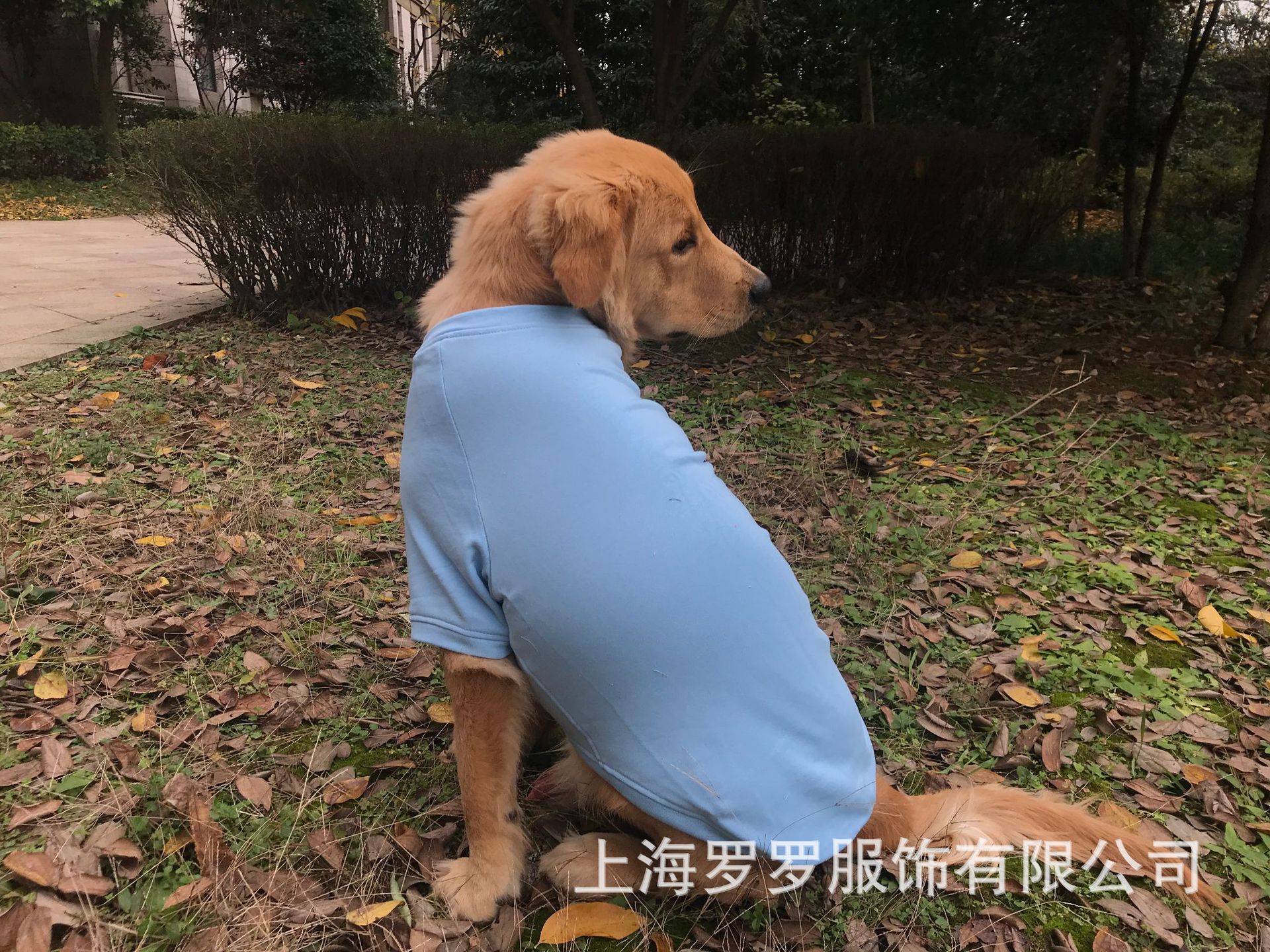 微信图片_20181205154955.jpg