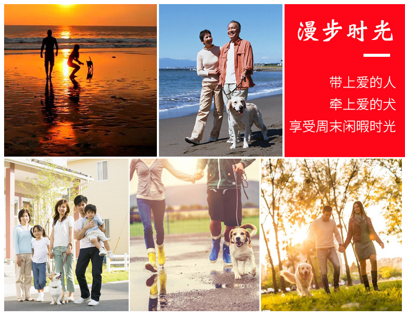 28-宠物项圈_05