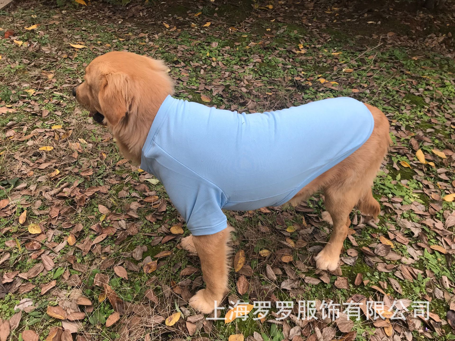微信图片_20181205155014.jpg