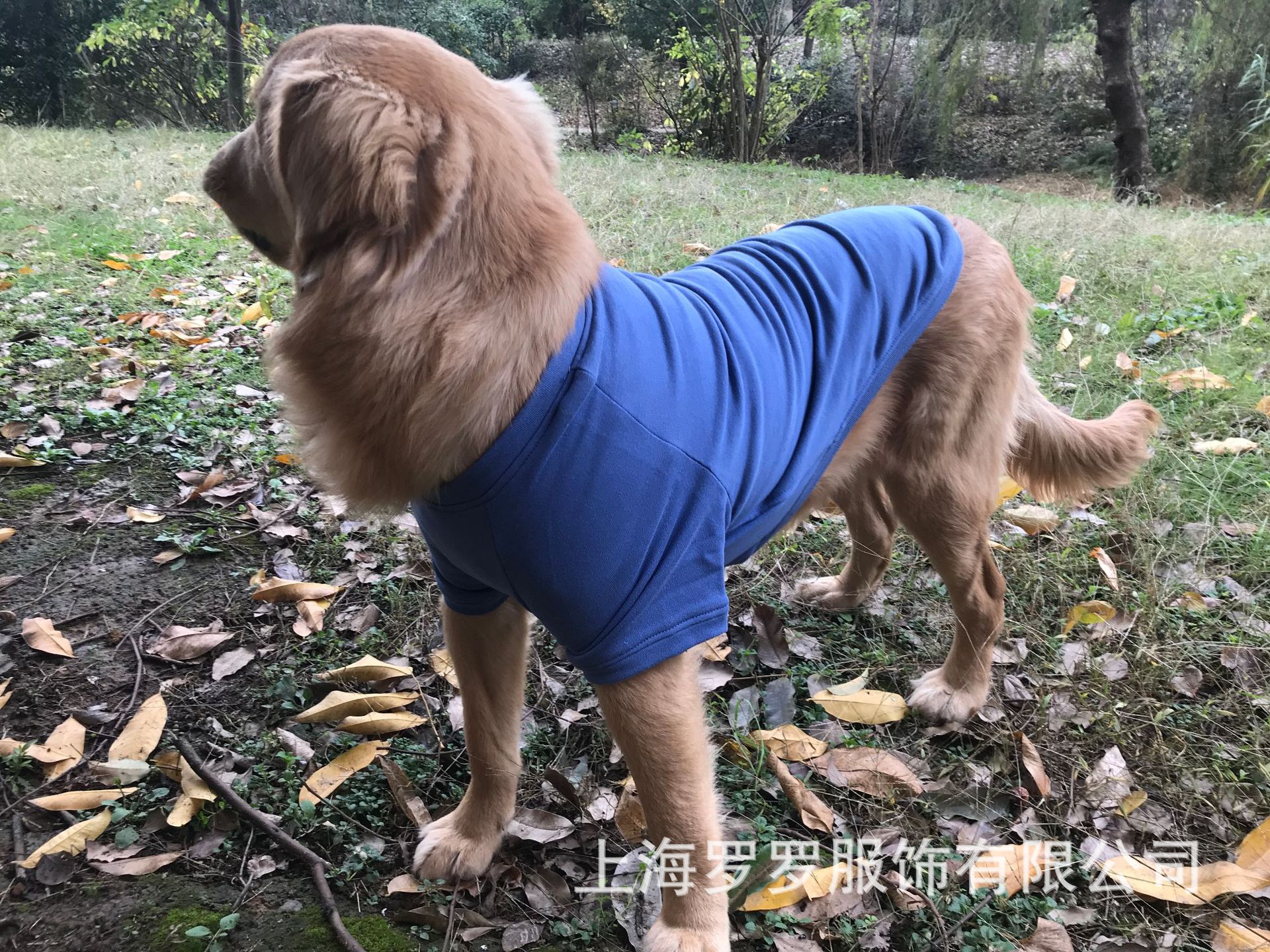 微信图片_20181205155032.jpg