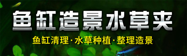 无线端-AF-50水草夹_01.jpg