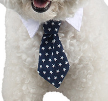 Ji Zai Pet галстук оптом Meng Pet галстук Faber Four Seasons Cotton Dog Collaboration