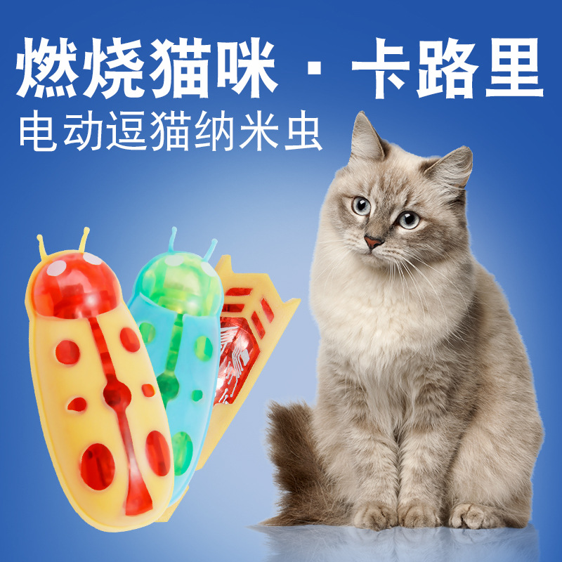 电动牙刷虫1.jpg
