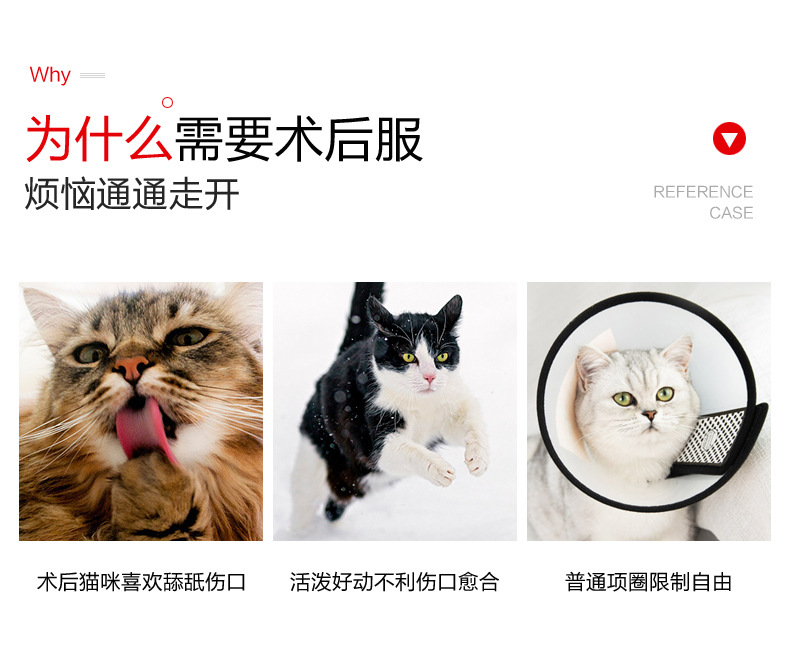 猫-迷彩术后服_02