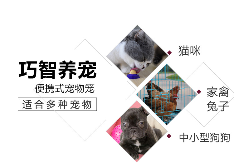 丝笼_04