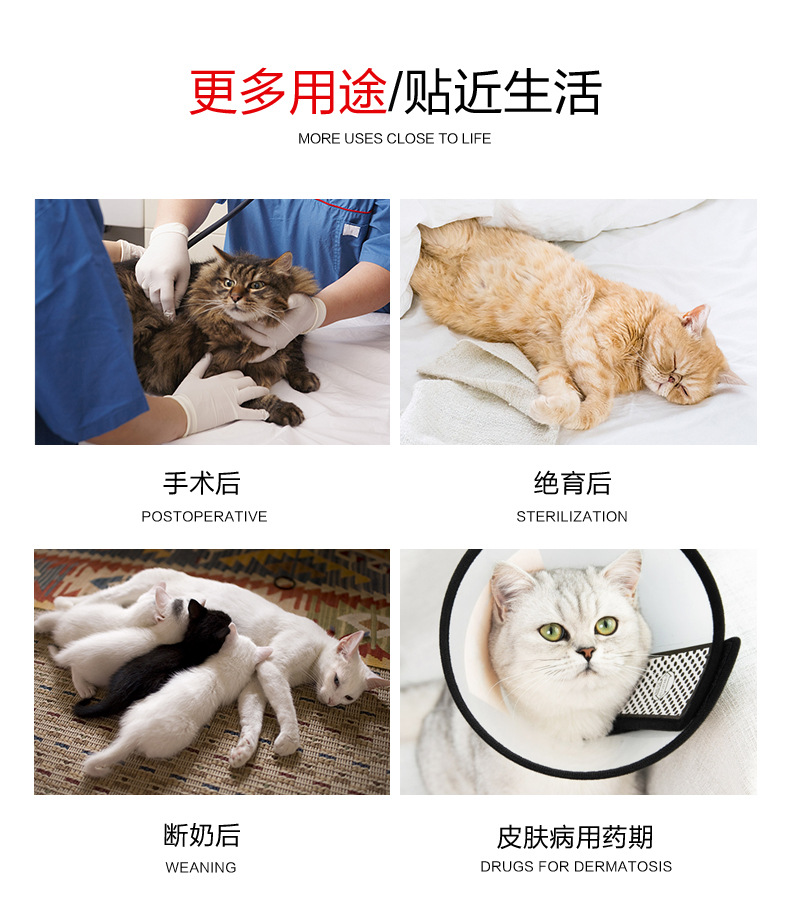猫-迷彩术后服_07