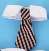 Ji Zai Pet галстук оптом Meng Pet галстук Faber Four Seasons Cotton Dog Collaboration