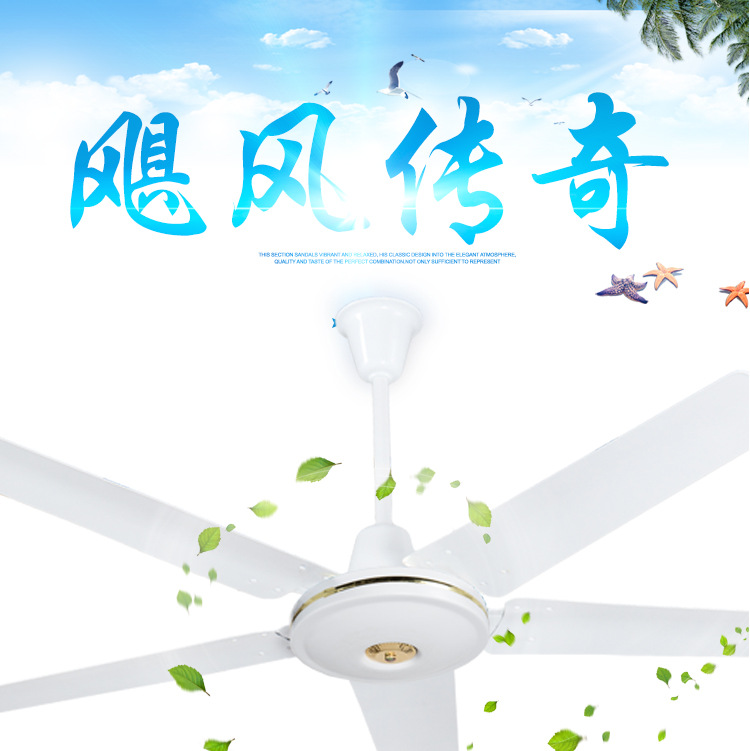 详情_01.jpg