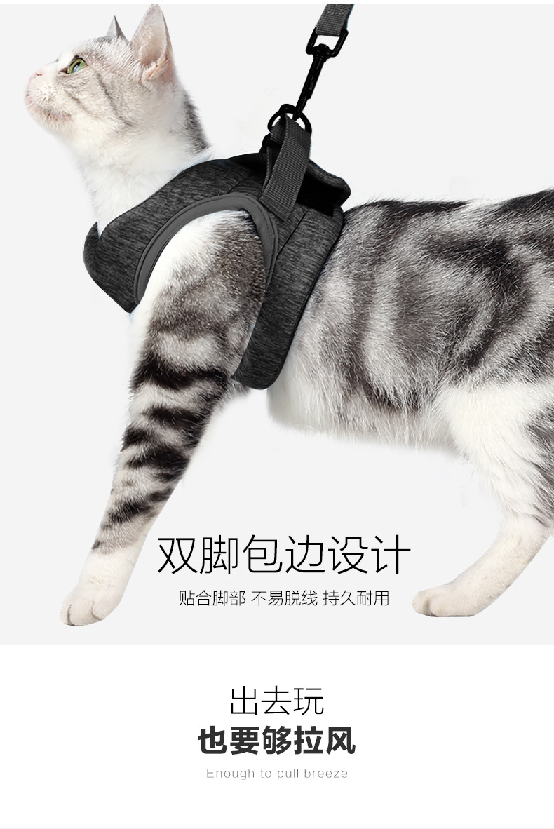 猫背带_09