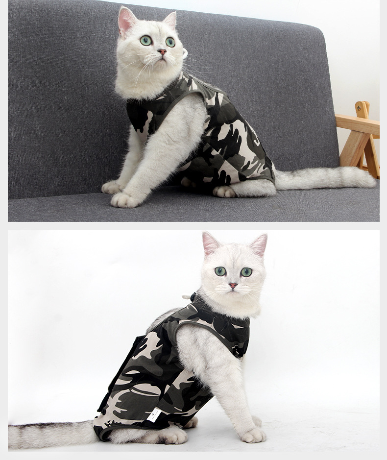 猫-迷彩术后服_09