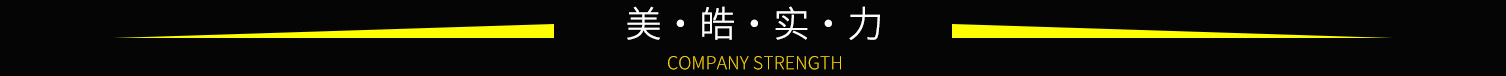 公司实力