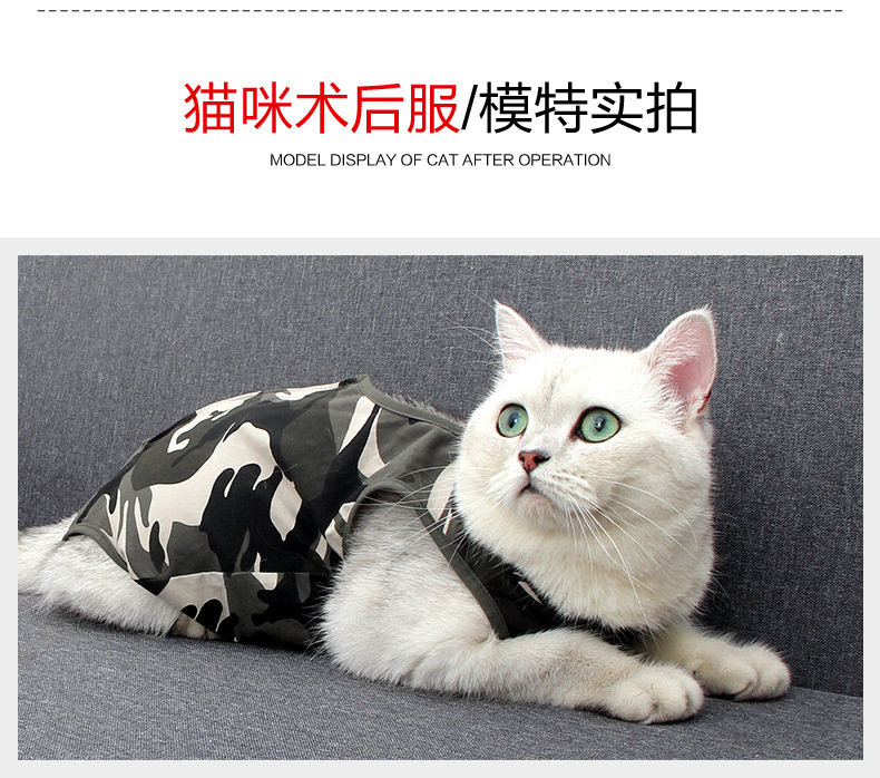 猫-迷彩术后服_08