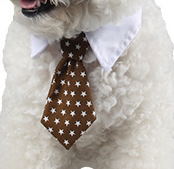 Ji Zai Pet галстук оптом Meng Pet галстук Faber Four Seasons Cotton Dog Collaboration