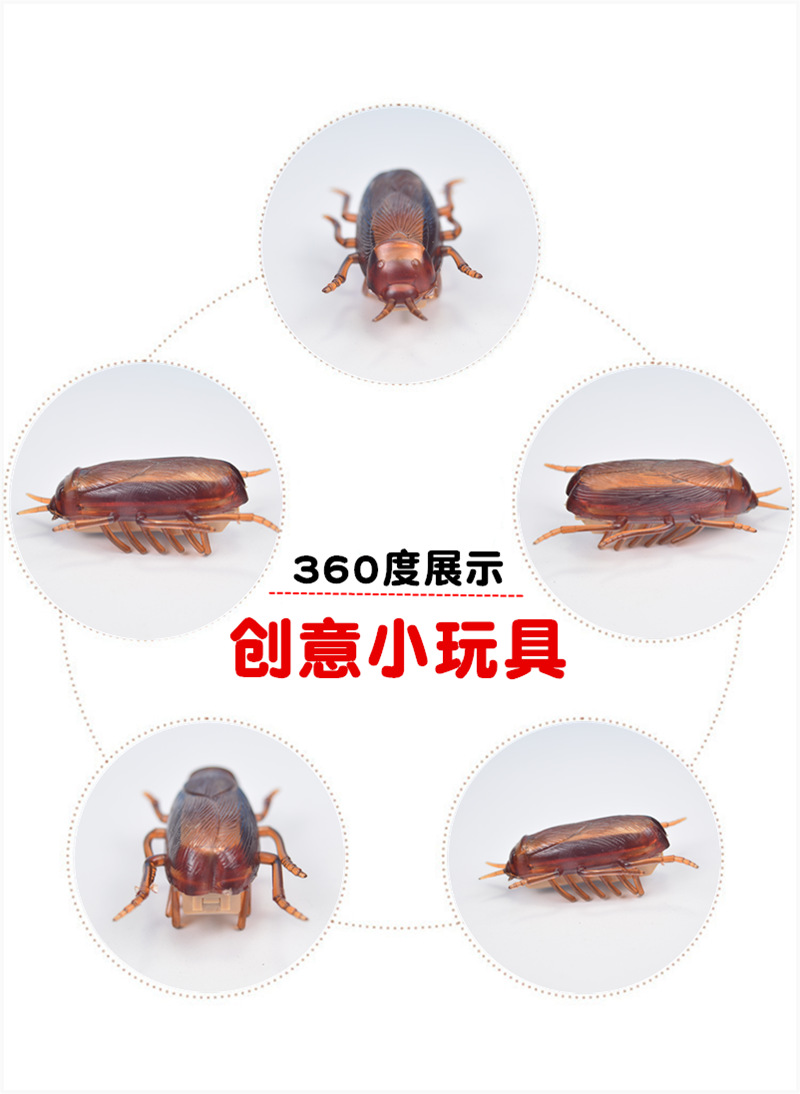 4_副本_副本_副本.png