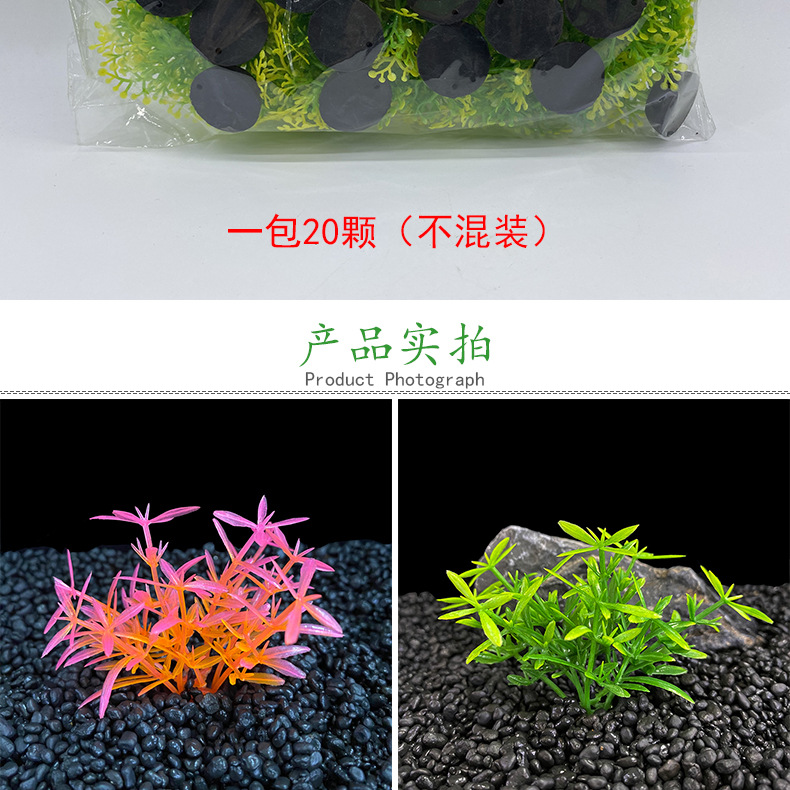 详情_02.jpg