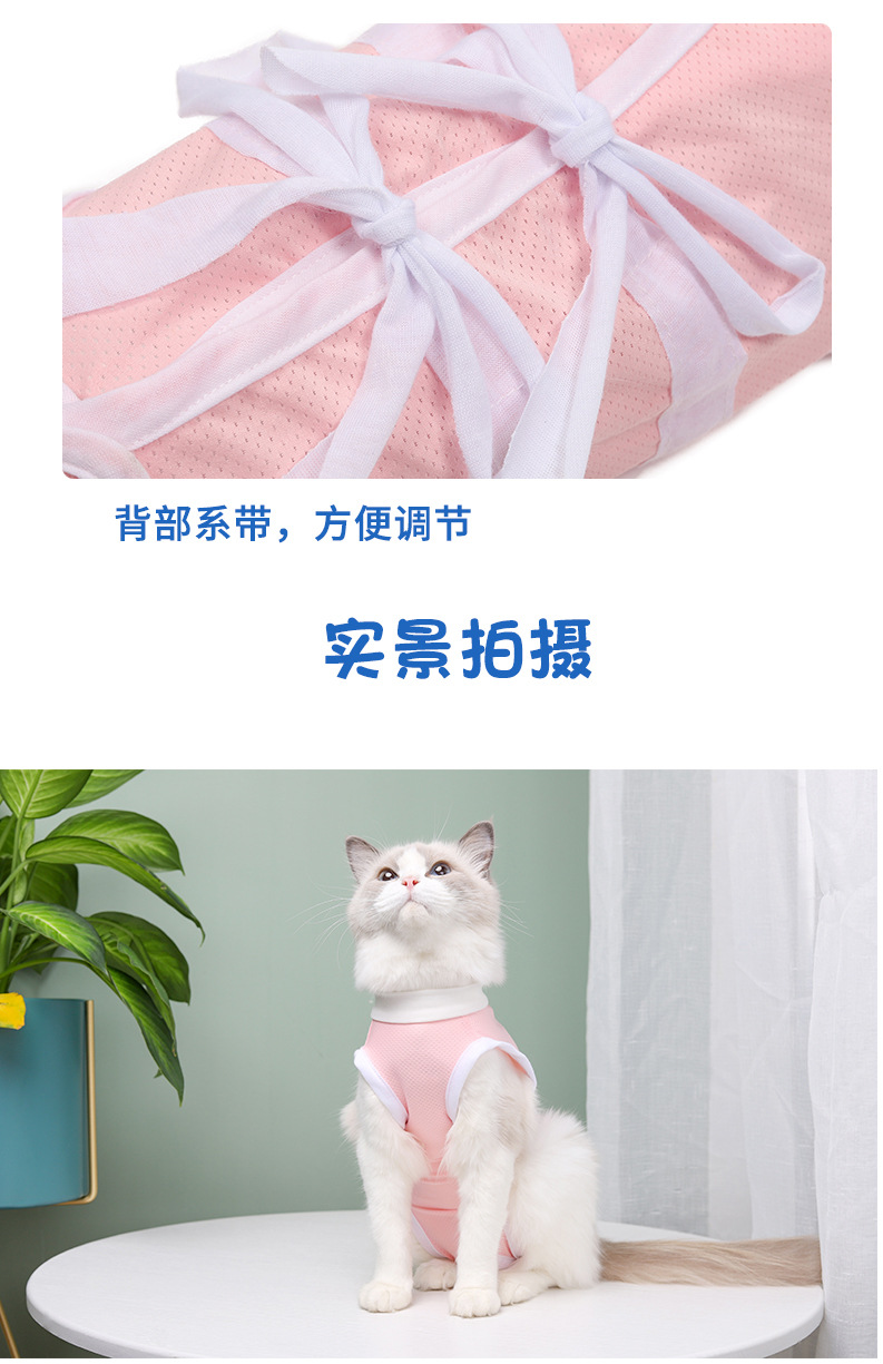 猫术服7.jpg