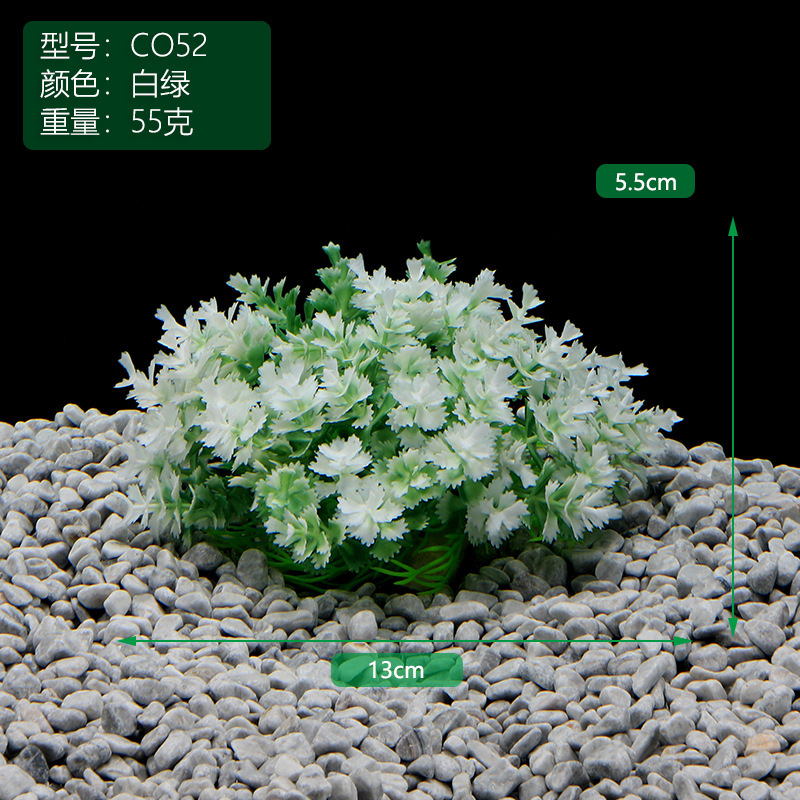 CO52白绿.JPG