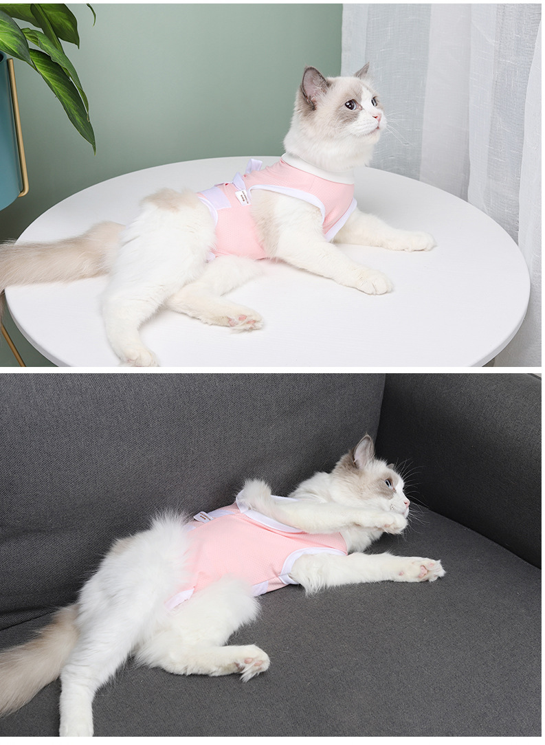 猫术服8.jpg