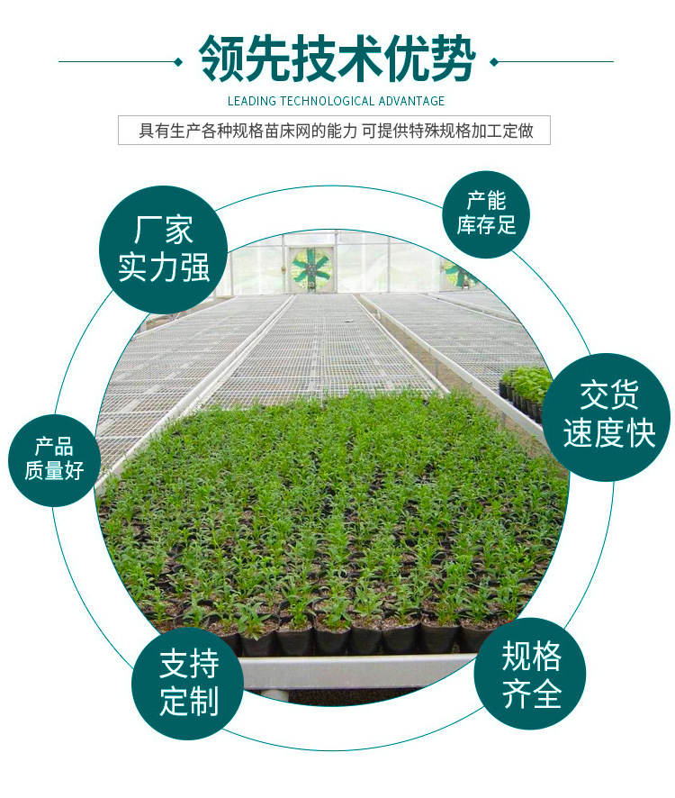 Manufacturer greenhouse seedling bed flower greenhouse planting soilless cultivation fixed hot-dip galvanized seedling bed accessories