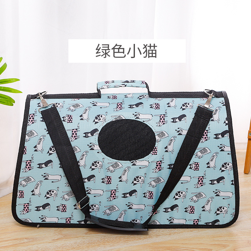 绿色小猫