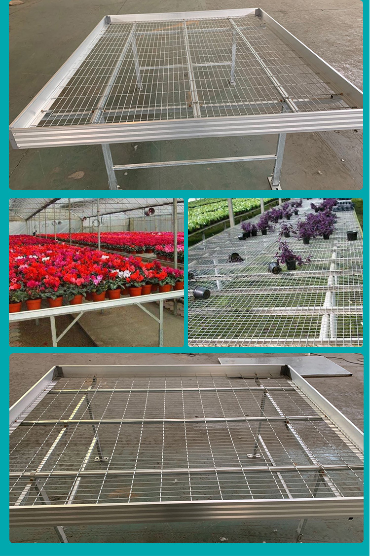 Manufacturer greenhouse seedling bed flower greenhouse planting soilless cultivation fixed hot-dip galvanized seedling bed accessories