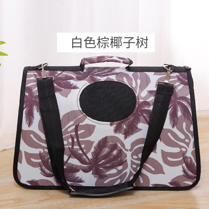 白色椰子树