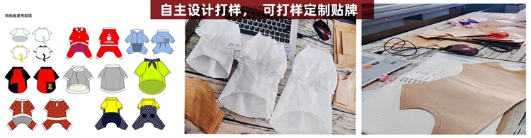 公司介绍4