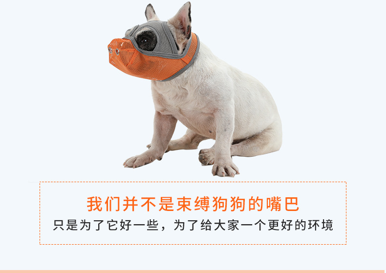题-1修改_10.jpg