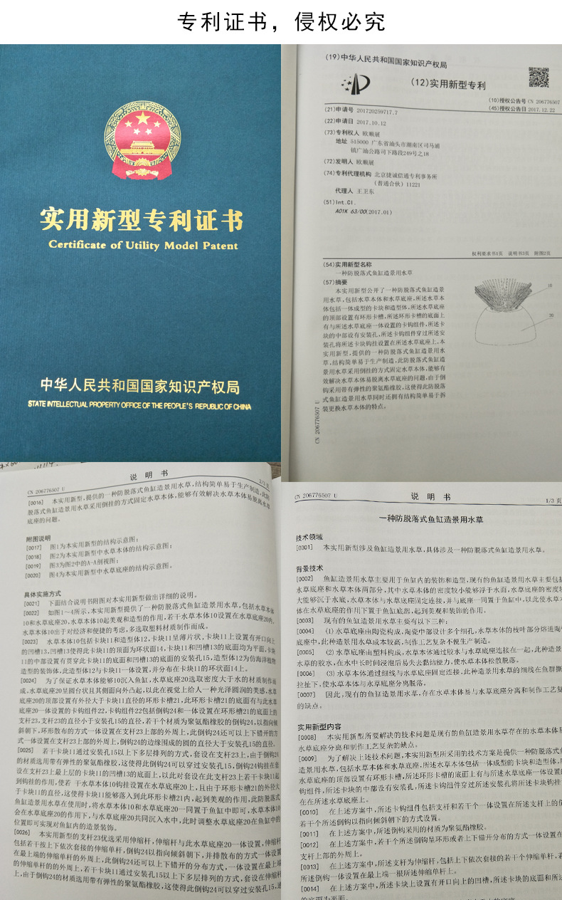 证书.jpg