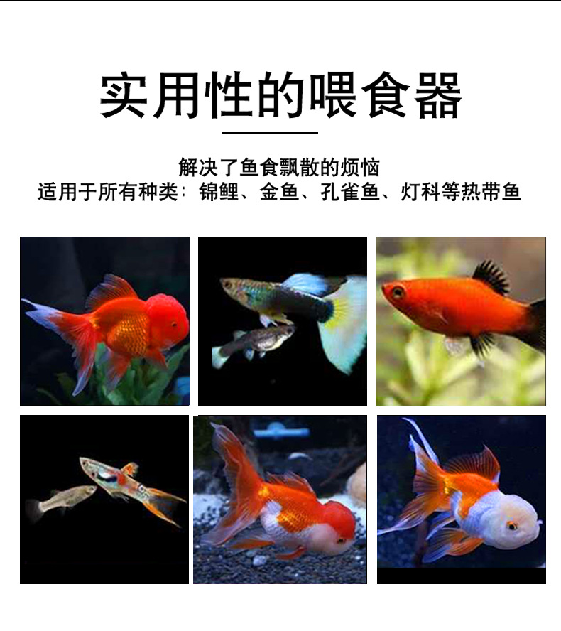 未标题-1_02.jpg