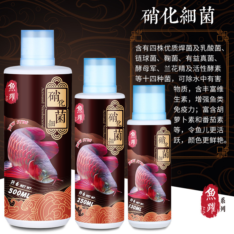 6.硝化细菌.jpg