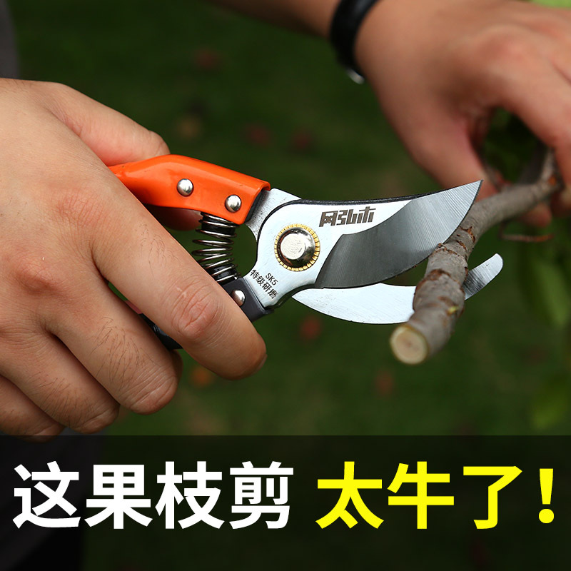 Pruning Scissors SK5 Fruit Tree Pruning Scissors Horticultural Floral Scissors Specialized Garden Fruit Pruning Scissors Effortless Scissors