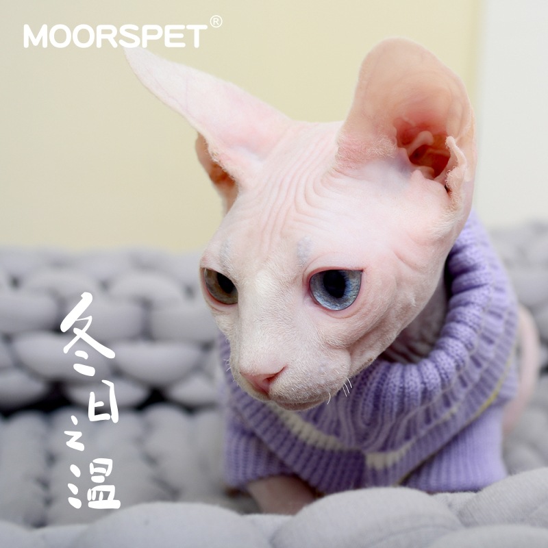 Момо -кошачья одежда теплый кошачий свитер осень и зимний кот ракорит кошачьи одежды в одежде в одежде